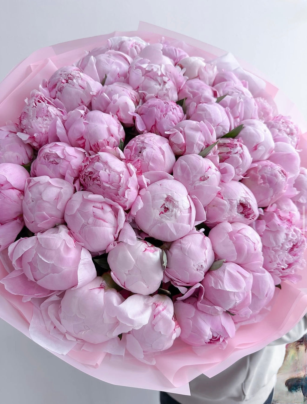 PEONIES