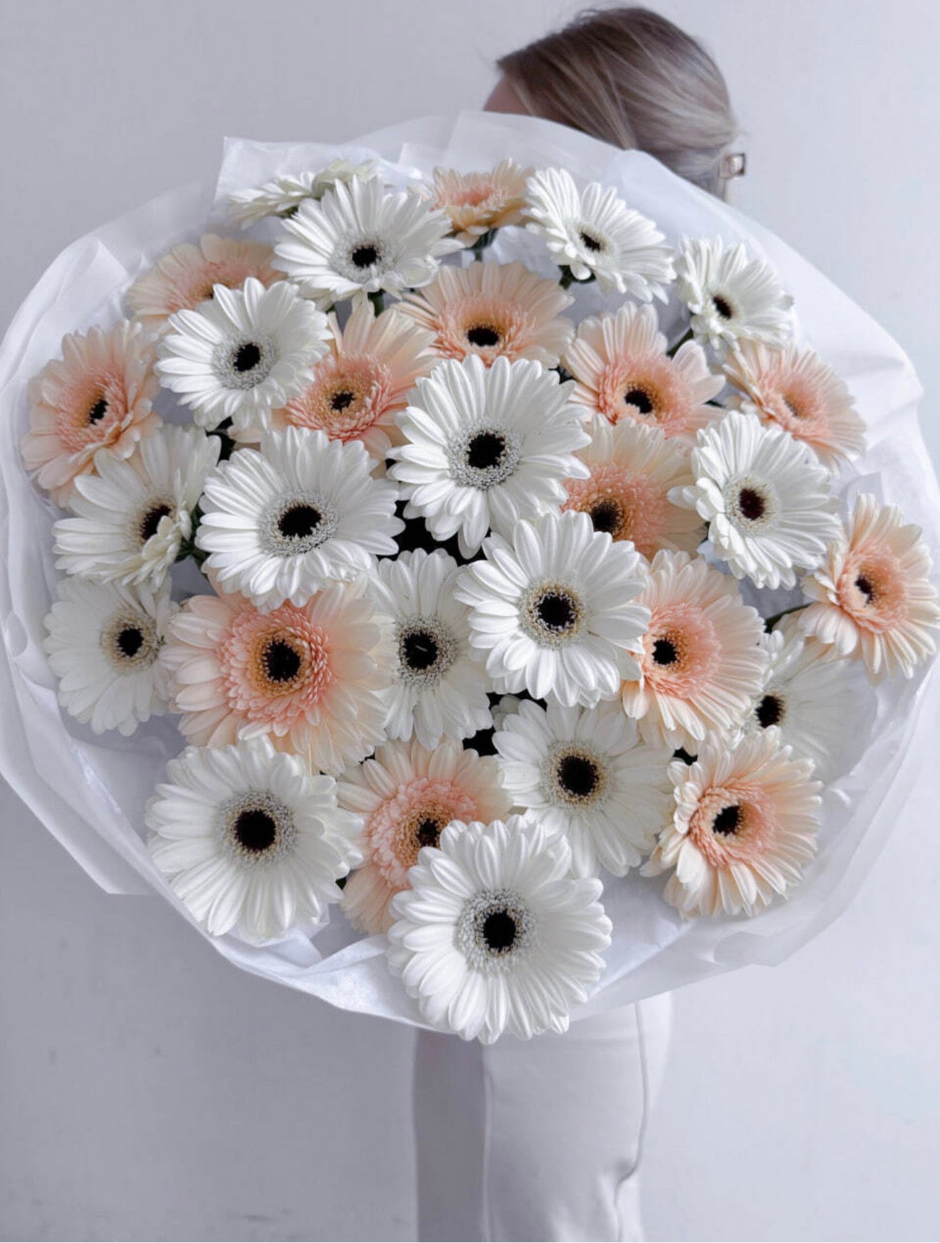 GERBERA ELEGANCE