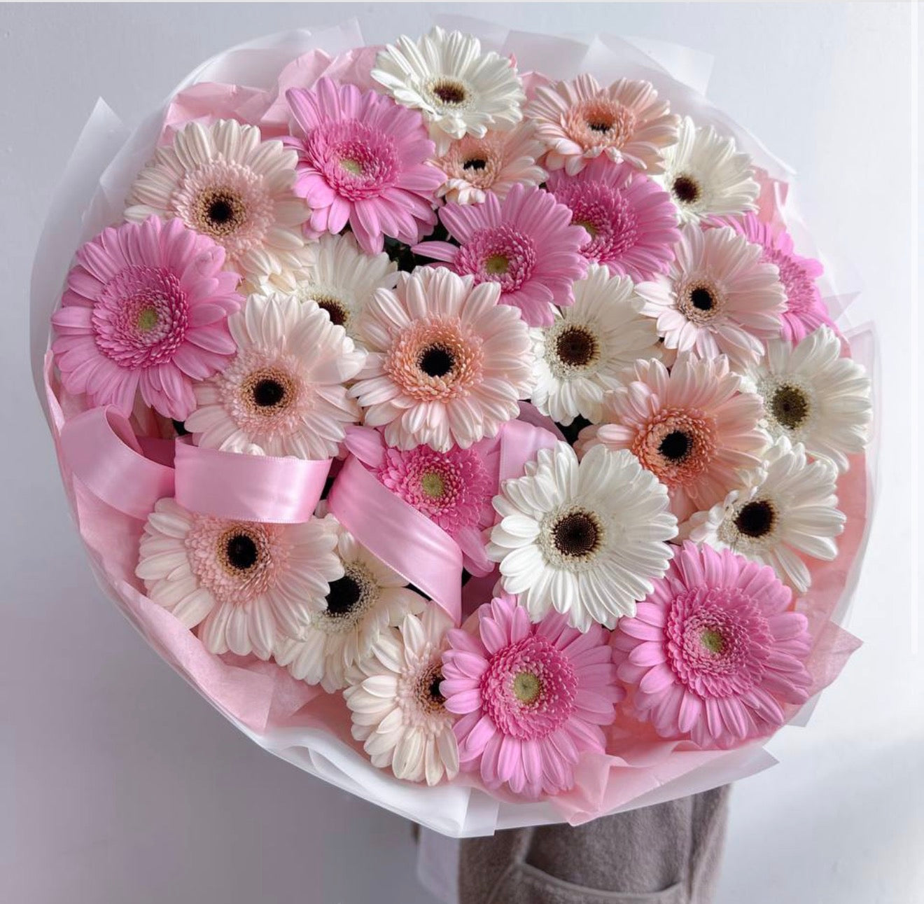 GERBERA ELEGANCE