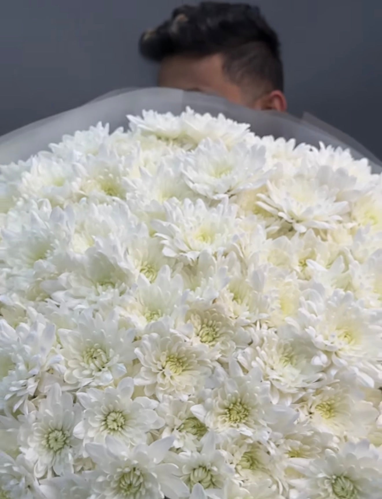 MONO BOUQUET CARNATIONS